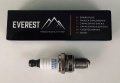 Świeca EVEREST MINI 11-06038 (CMR6H)