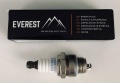 Świeca EVEREST 11-06036 (BPMR7A)