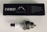 Świeca EVEREST 11-06036 (BPMR7A)
