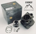 Cylinder do STIHL MS 261 (44,7 mm) - NIKASIL